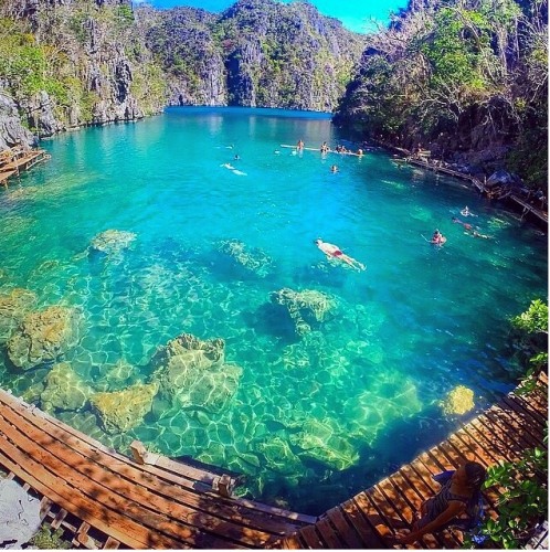 科隆島潜水花费