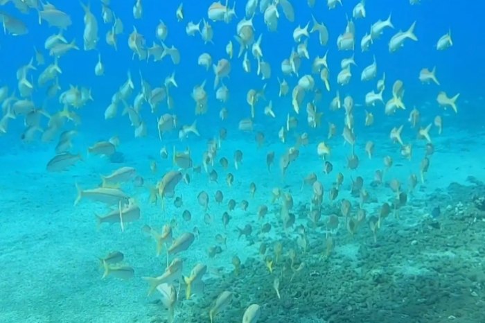 潛水地點推薦