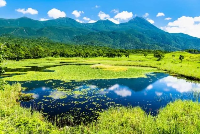 北海道自由行 北海道自由行